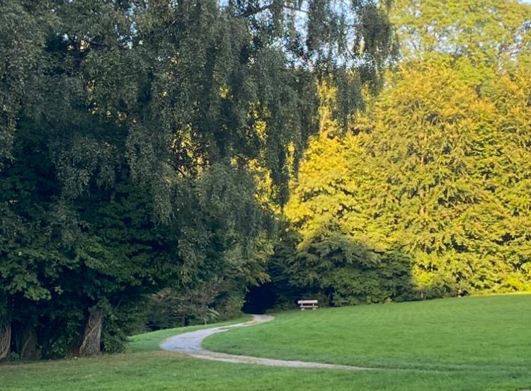 Hintergrundbild